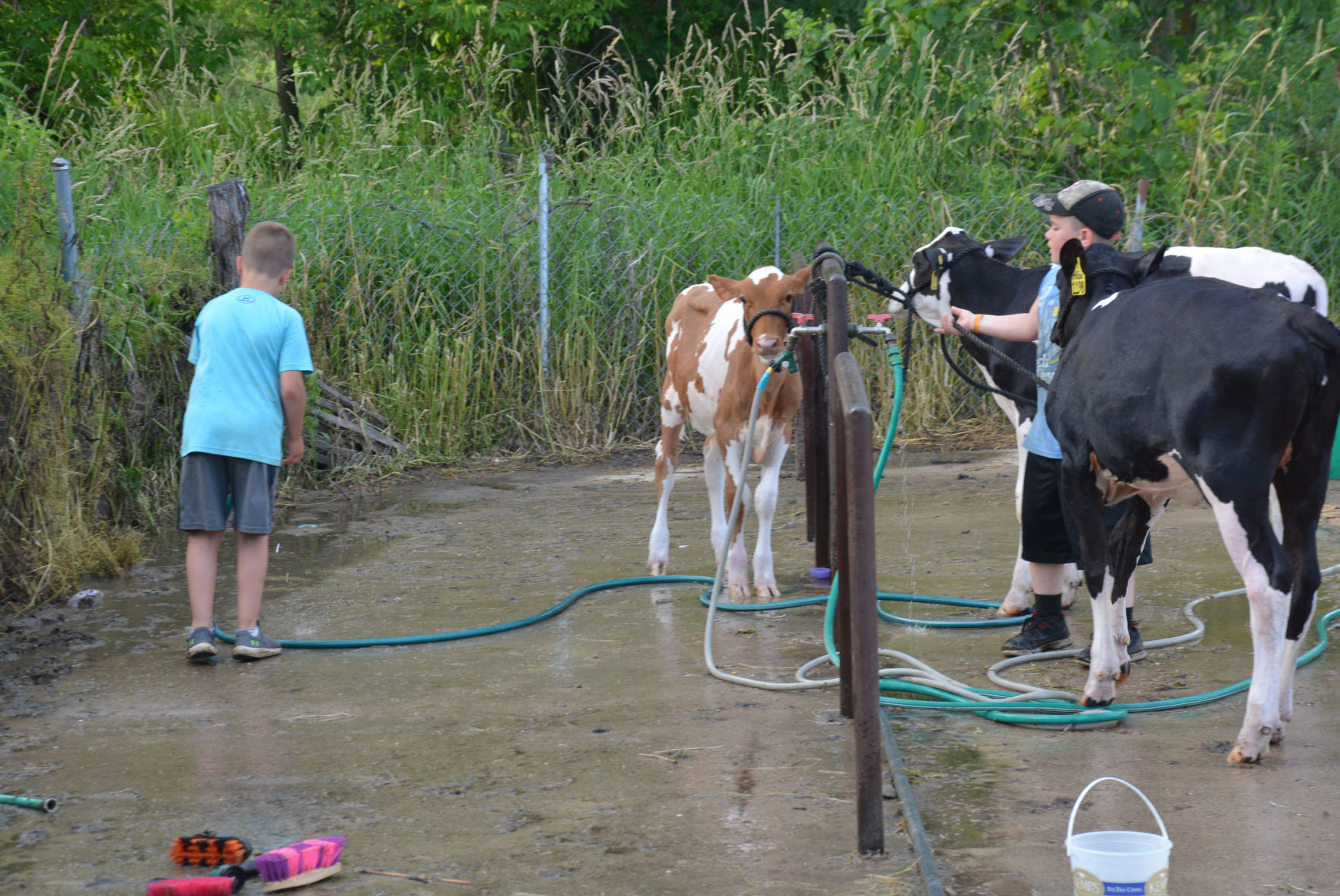 Elroy Fair 6